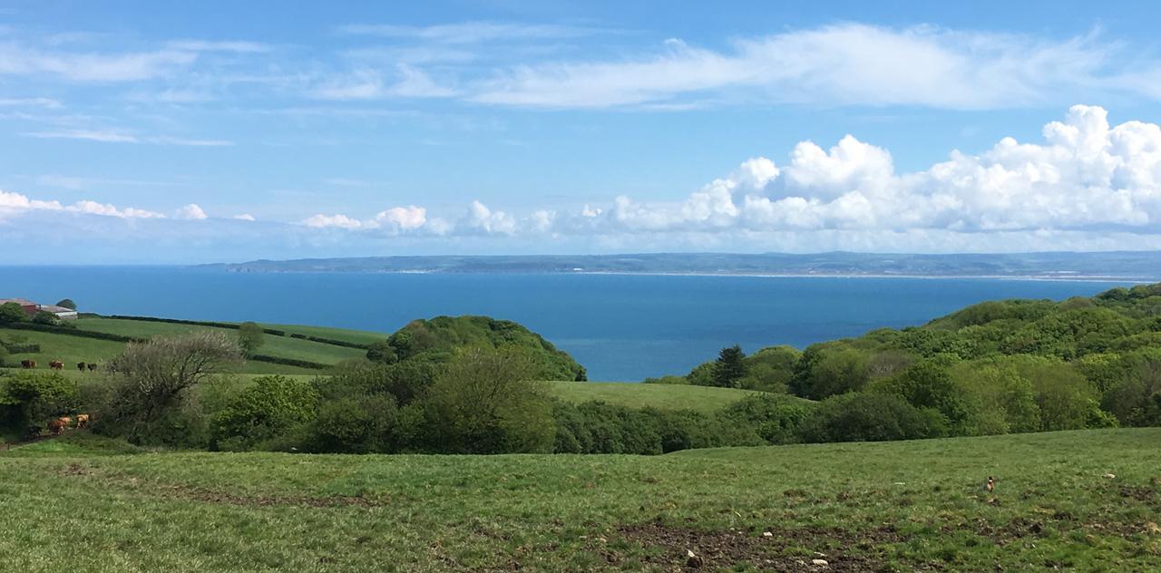 East Dyke Farm B&B Clovelly Exteriör bild